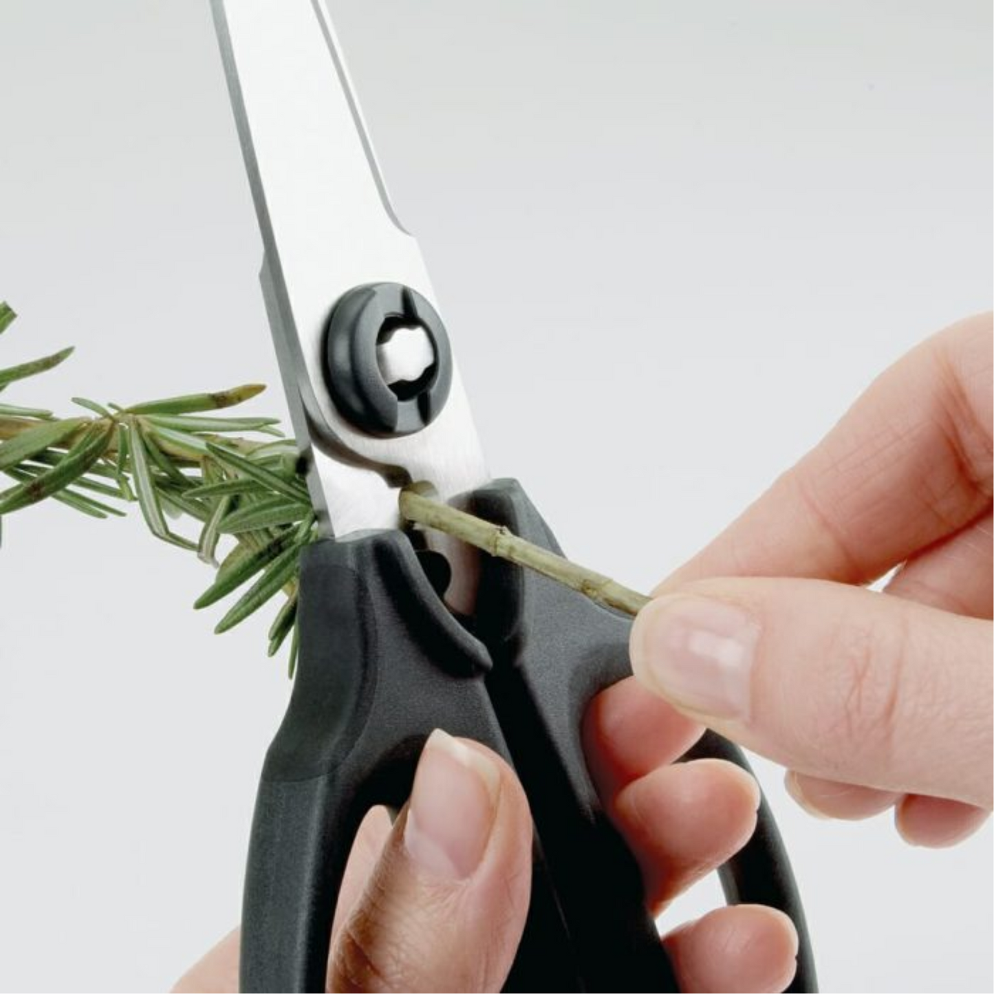 OXO Multi-Purpose Kitchen Scissors
