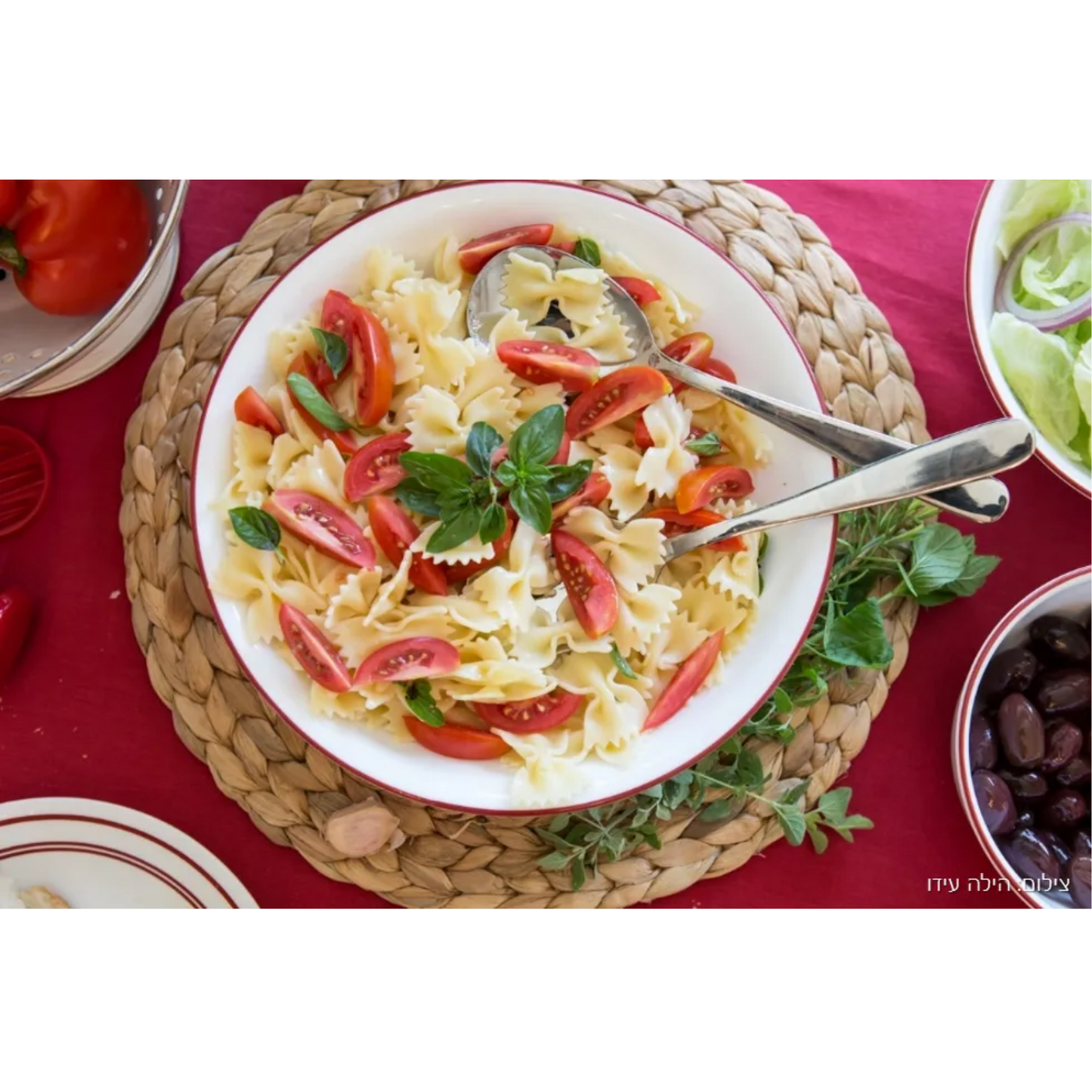 Salvinelli Stainless Steel Salad Servers