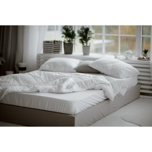 All Season Feather Comforter - Basic